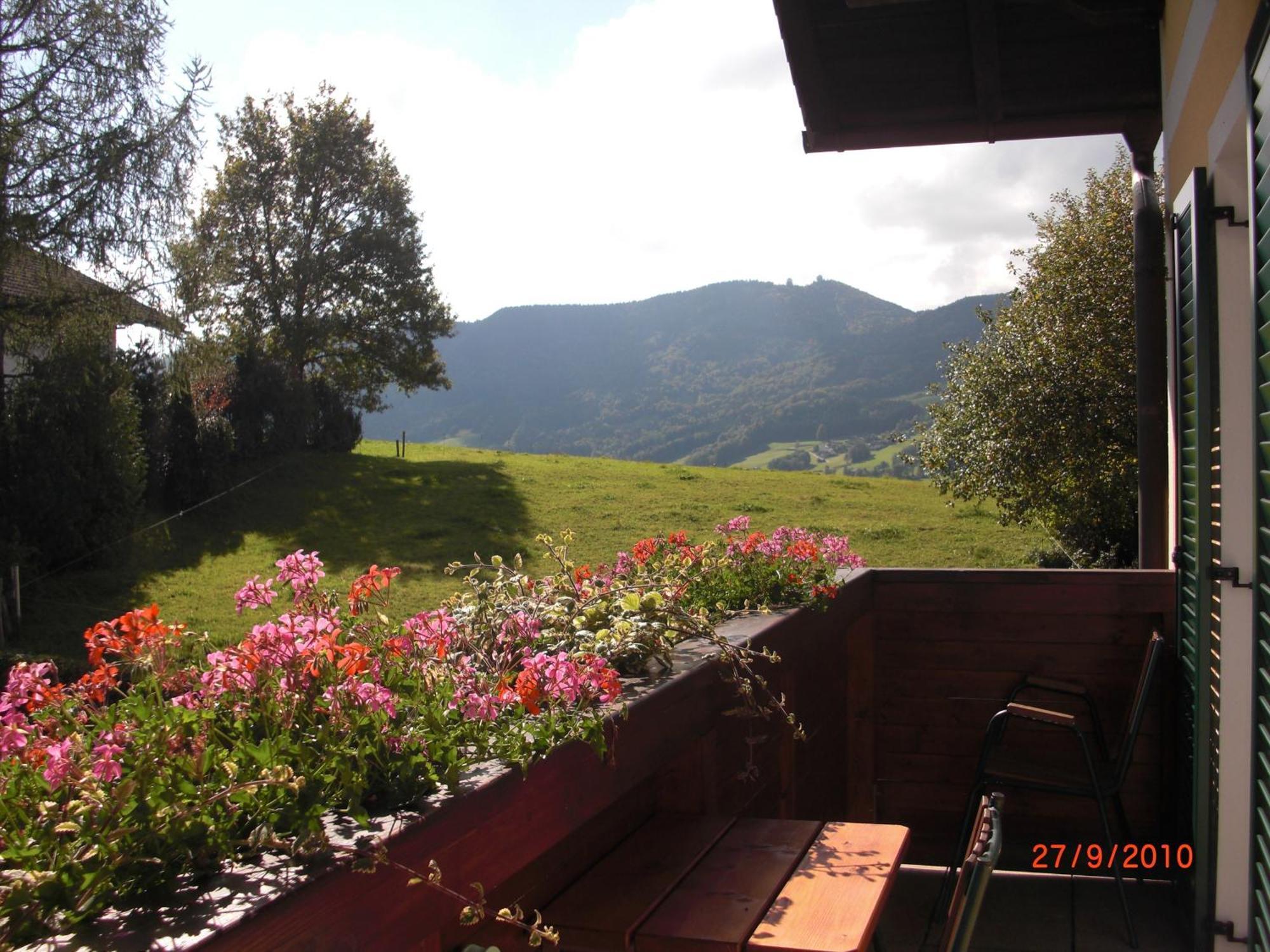 Pension Winter Zell am Moos Luaran gambar
